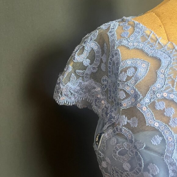 Tadashi Shoji Light Blue Lace Sequin Dress - Picture 4 of 9